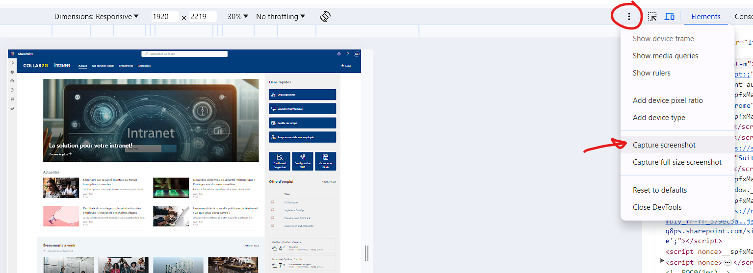 Option « Capture screenshot » dans le menu des options supplémentaires